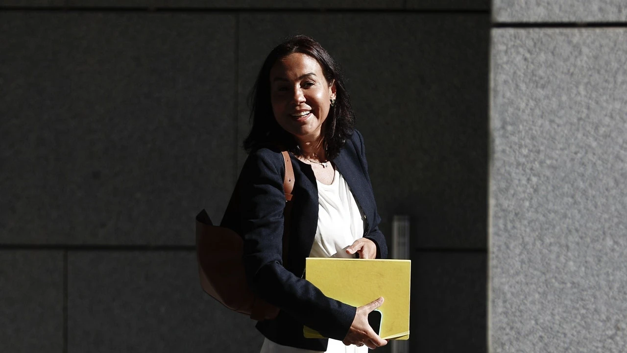 Cerco a Pardo de Vera: el jueves declarará ante la Audiencia Nacional y ante el Senado