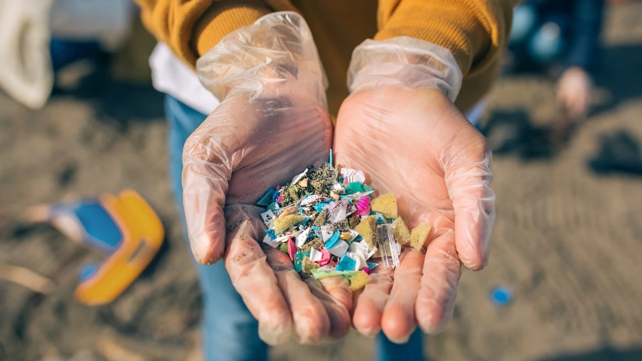 Ni las botellas ni las pajitas: estas son las dos mayores fuentes de contaminación por microplásticos