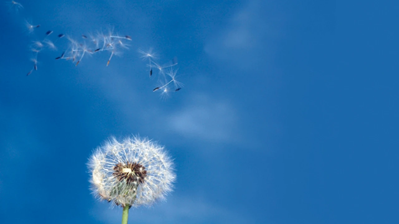 Ventilar la casa: ¿por qué es importante para nuestra salud?