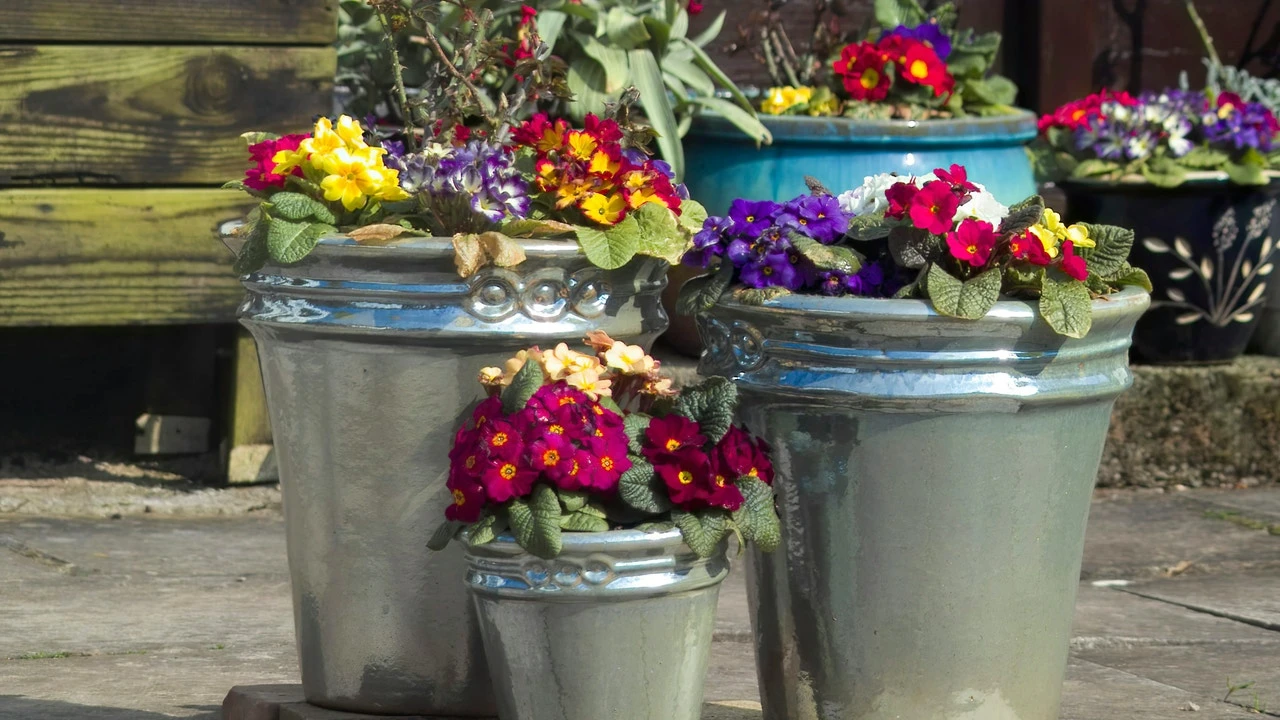 Un jardinero convierte macetas de plástico olvidadas en algo increíble para el jardín: 