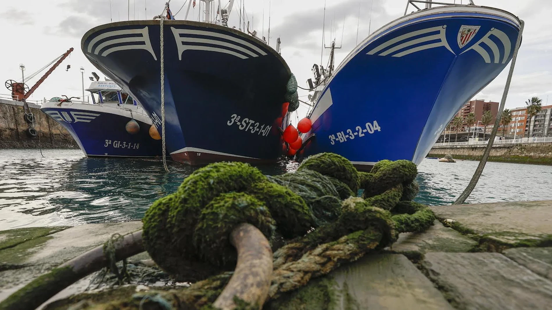 Bruselas aprueba el plan español de 25 millones en ayudas a los pescadores por la guerra de Irán
