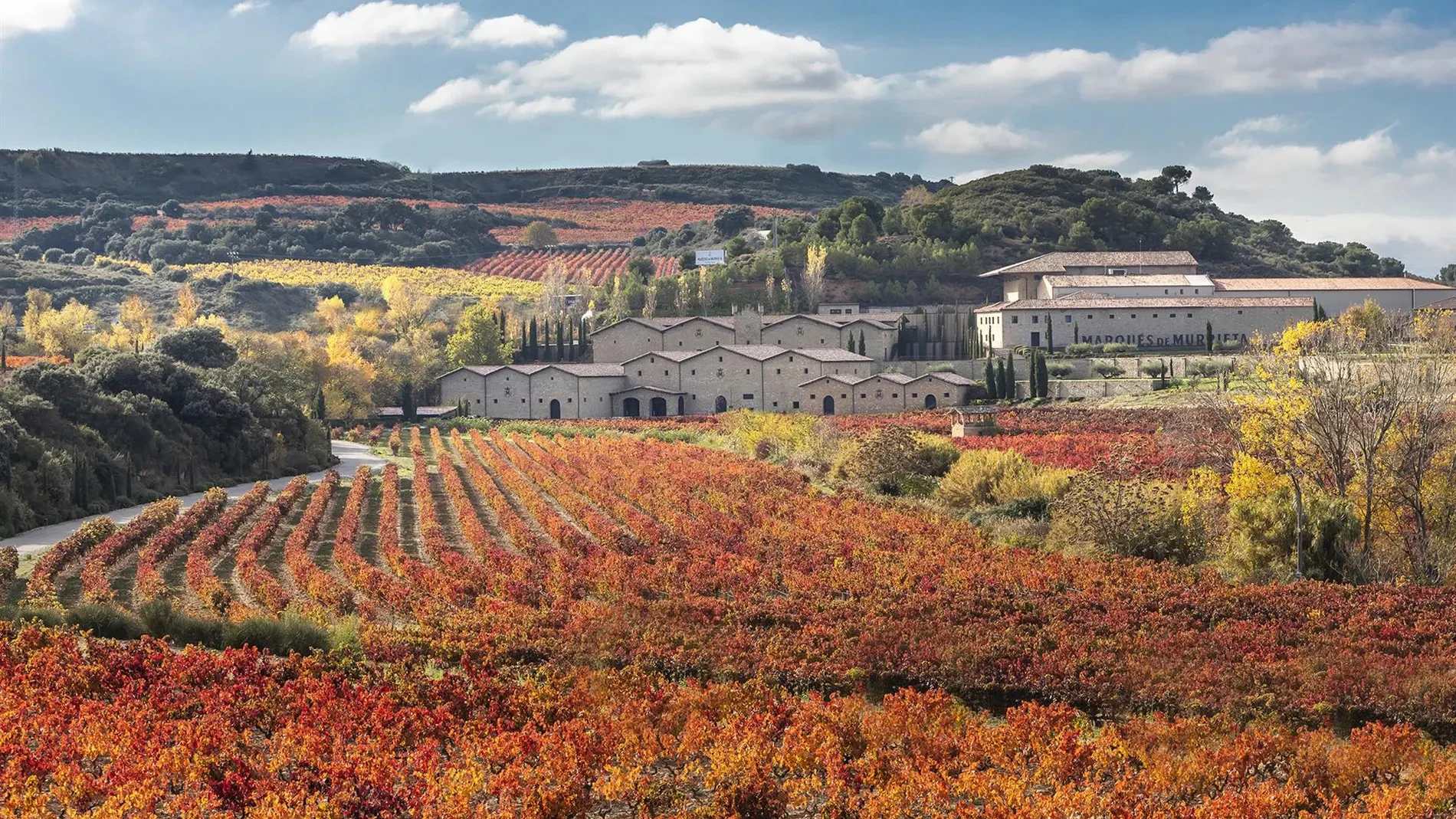 Más de 1.000 asistentes consolidan The Best of Tim Atkin MW Spain 2026 como la gran cita del vino español de alta puntuación