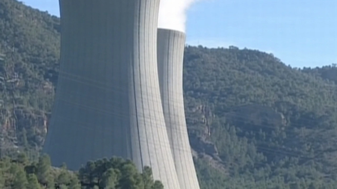 Alemania da un golpe sobre la mesa y apuesta por la controvertida energía nuclear