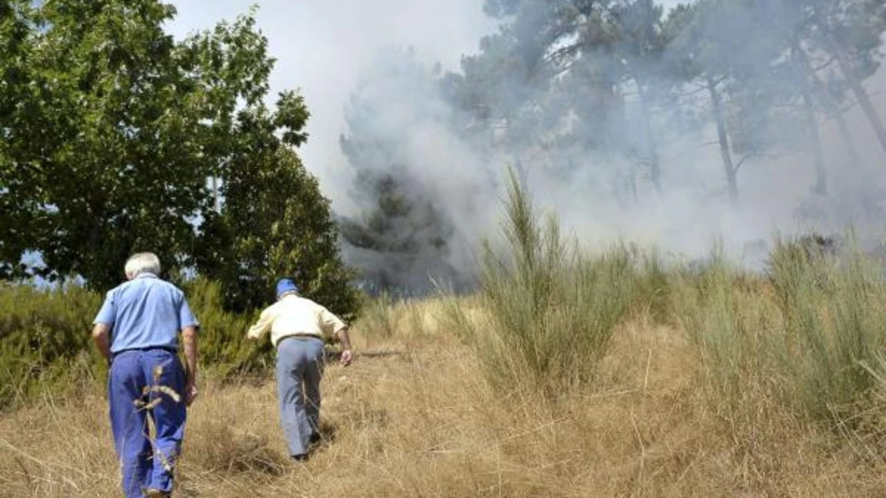 ctivada la situación 2 en el incendio de O Bolo (Orense), con 20 hectáreas afectadas