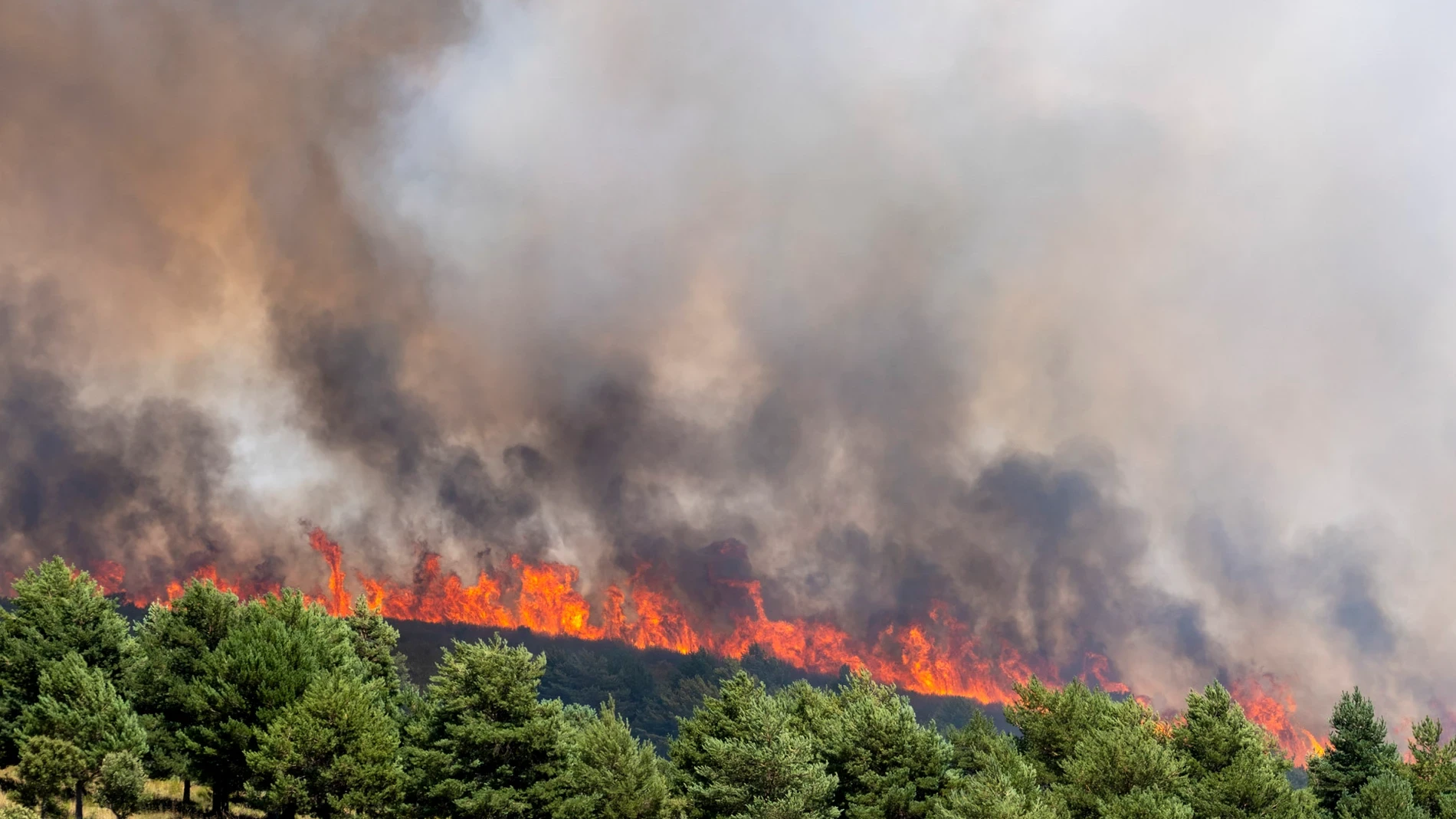 ¿Puede llegar el incendio de Guadalajara a Soria?
