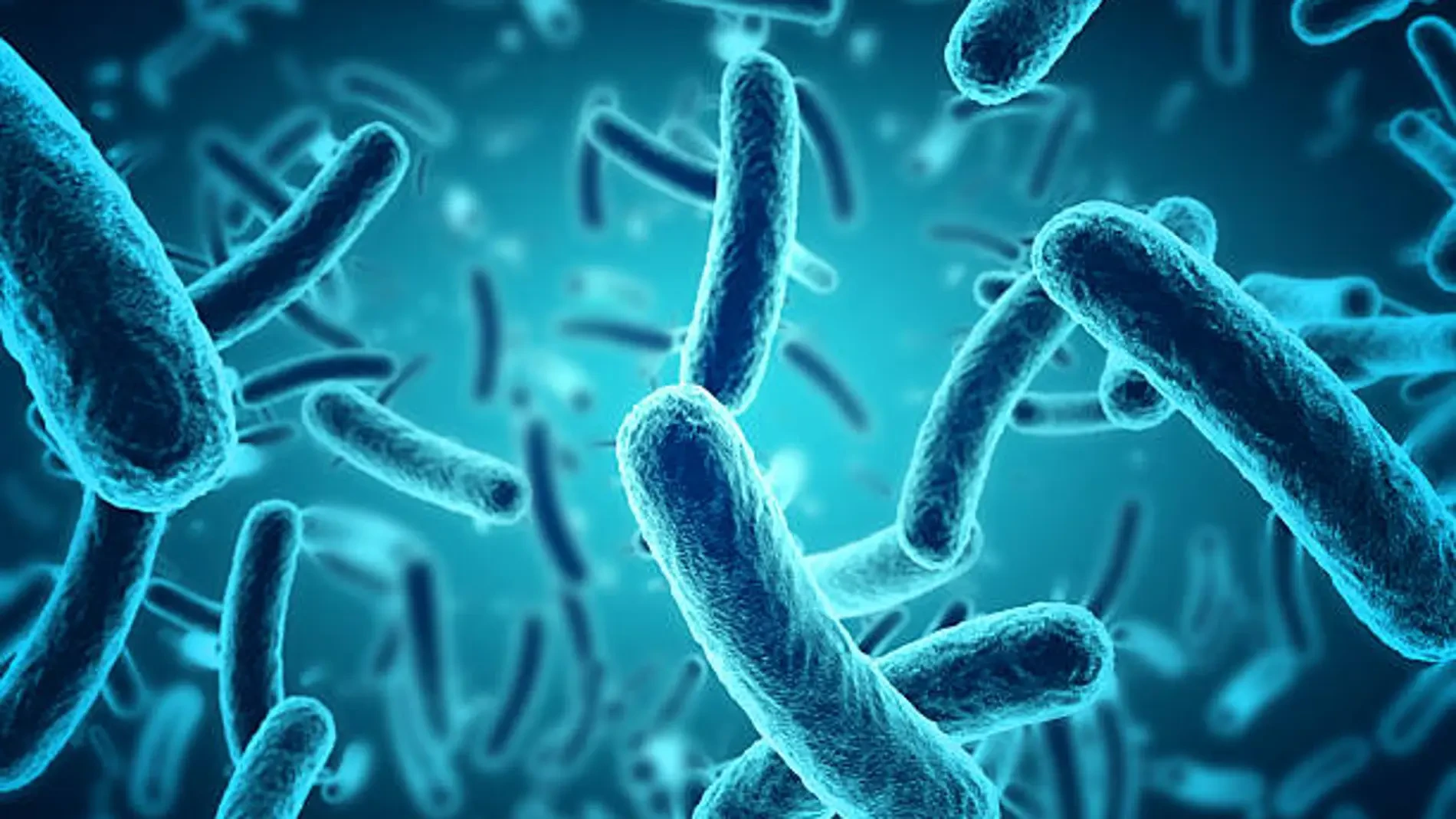 Puede cambiar la lucha contra las infecciones: descubren un antibiótico capaz de combatir las superbacterias