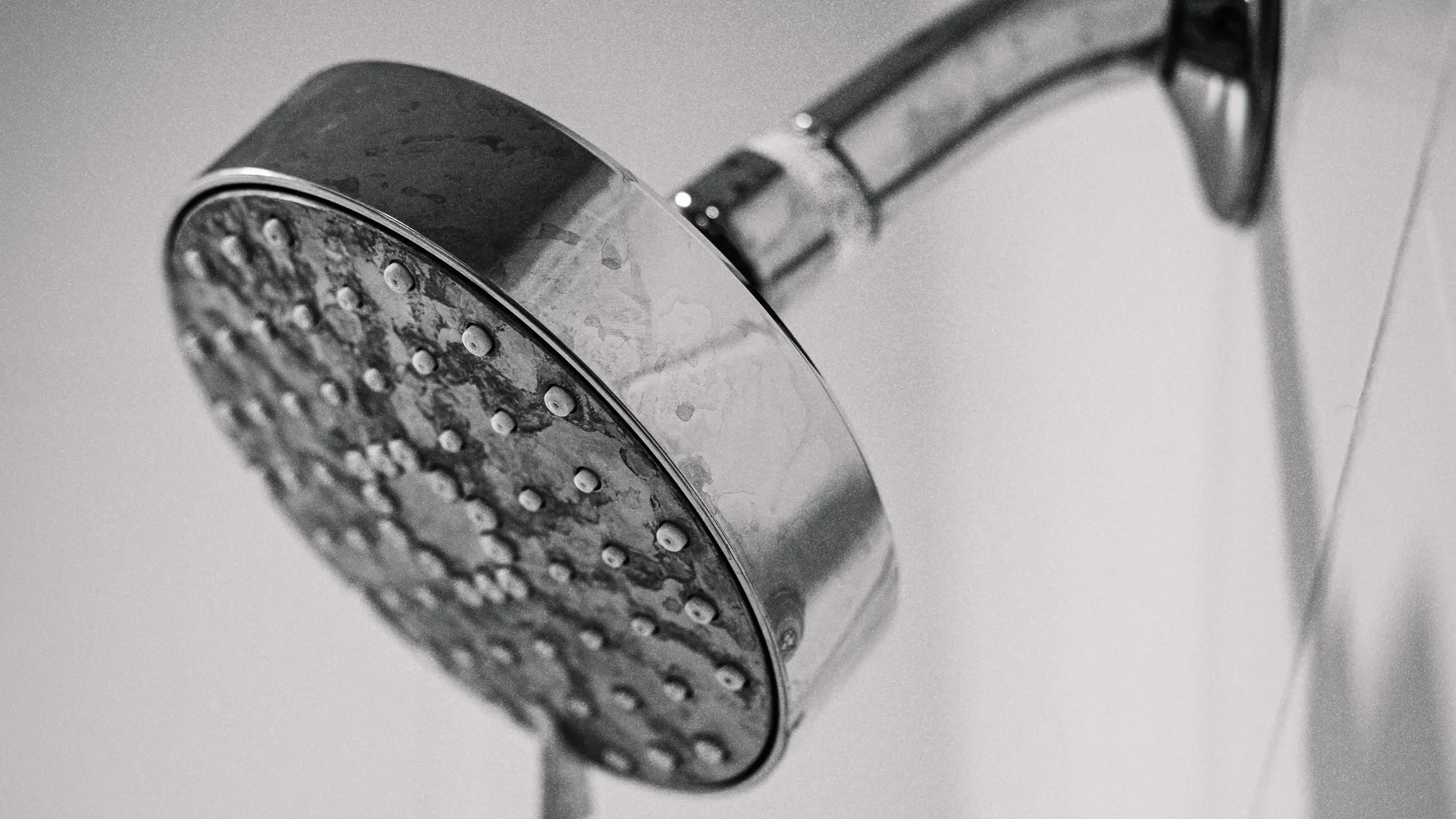 Cómo dejar como nueva la alcachofa de la ducha: el sencillo truco para eliminar la cal de los orificios