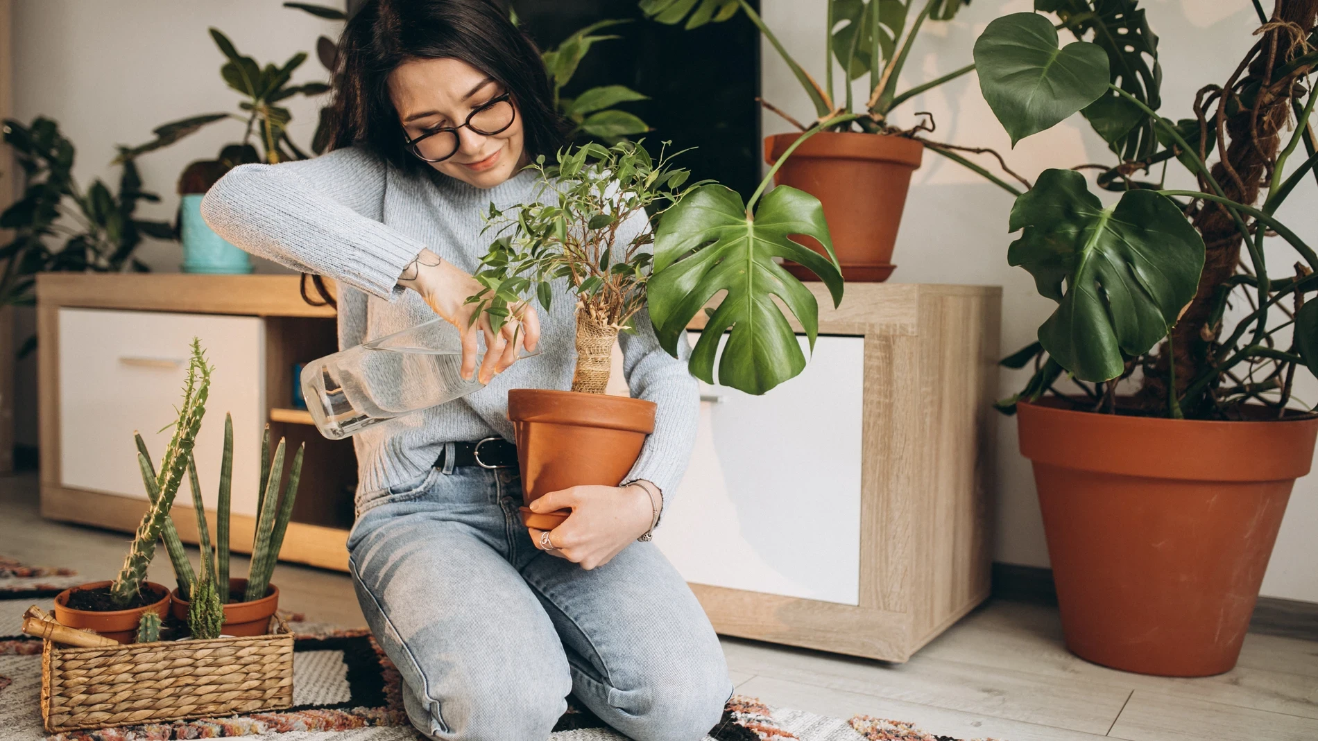 La psicología explica qué significa que una persona tenga muchas plantas en su casa