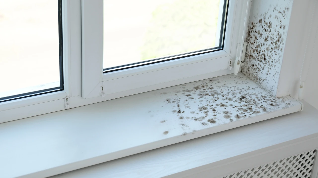 Cuidar el espacio laboral para proteger la salud del empleado