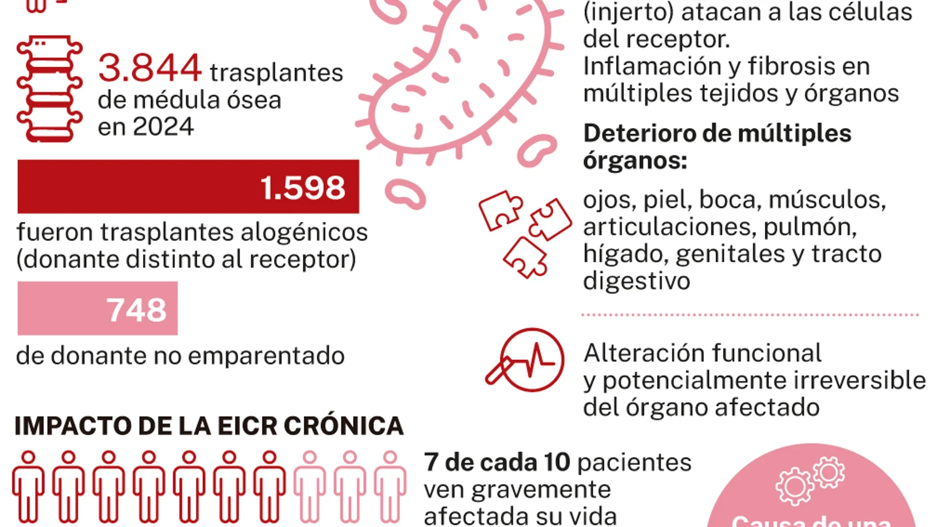 La ONT alerta: crece la voluntad de donar órganos en España, pero no se hace efectiva