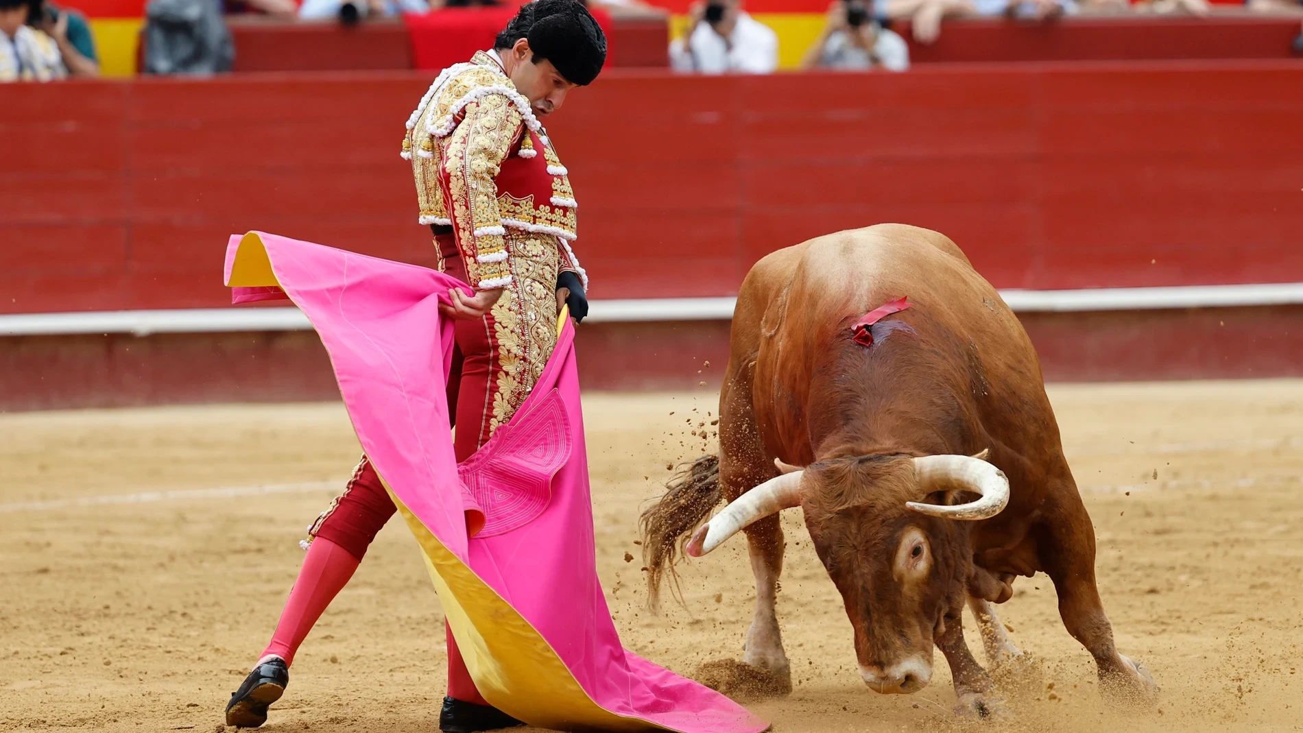 Ni pan ni toros