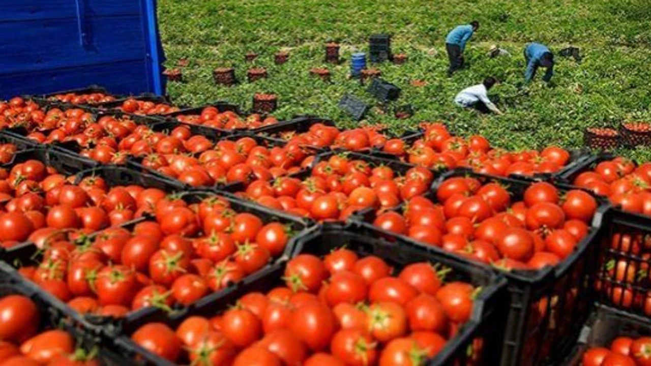 El sábado entra en vigor el nuevo acuerdo entre Marruecos y la UE para los productos del Sáhara