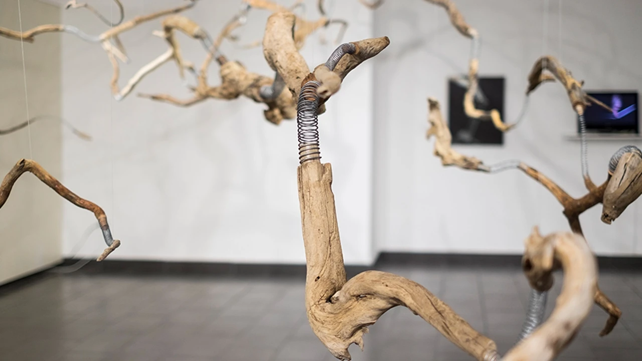 Patricia Belli, Premio Velázquez de Artes Plásticas 2025