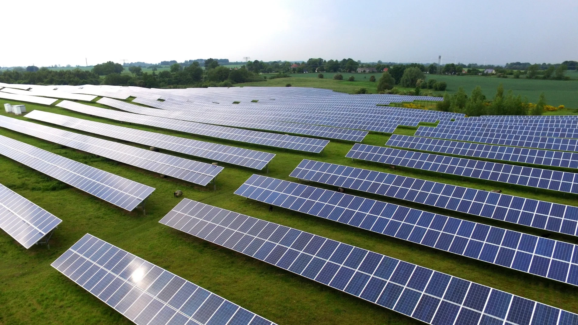 Este es el sorprendente efecto que están provocando los paneles solares