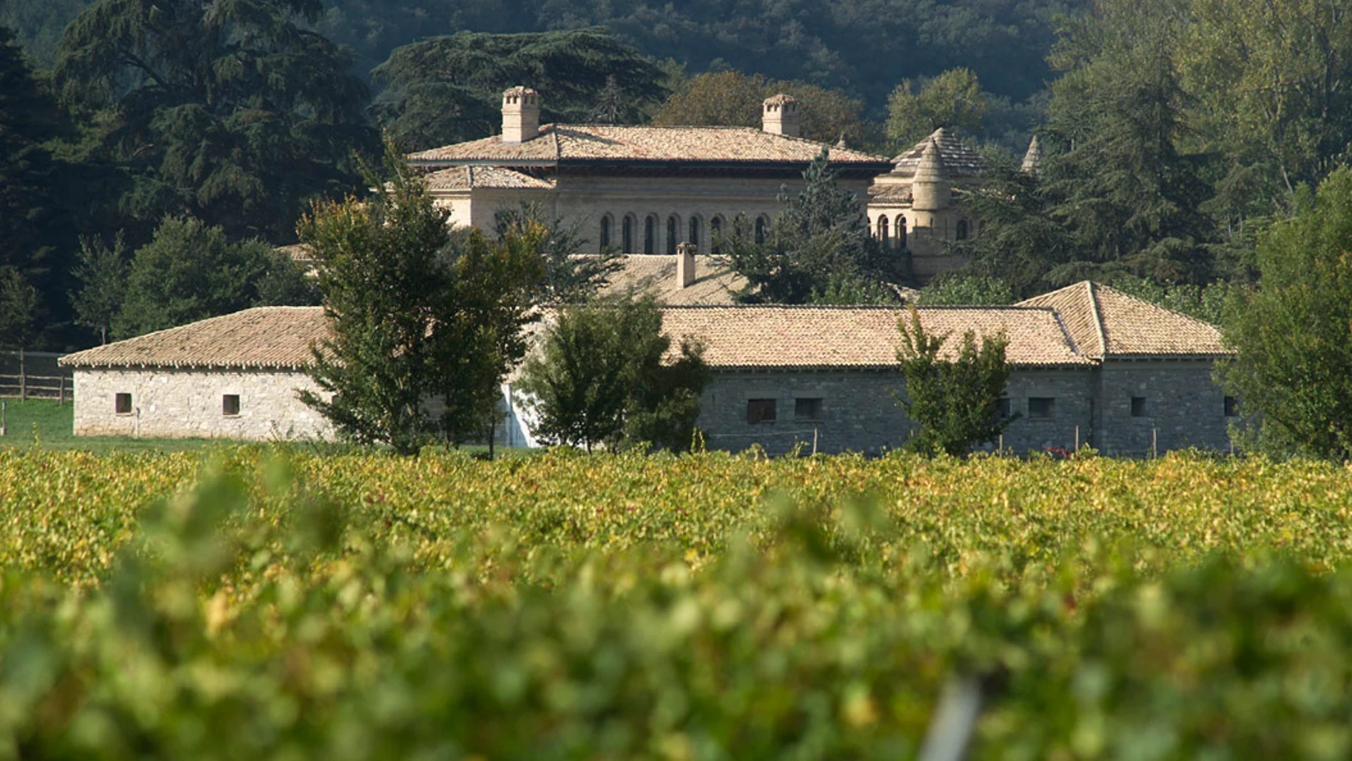 Otazu recupera la Berués, una variedad histórica de la Cuenca de Pamplona