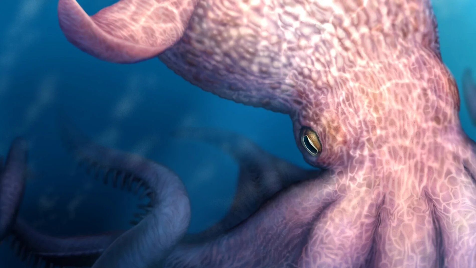 Este fue el mayor depredador de los mares. Y era un invertebrado