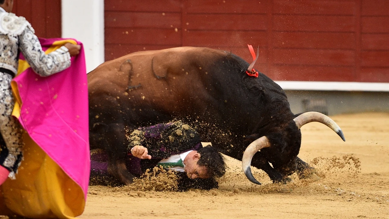 Así fue la violentísima voltereta que sufrió Fortes a portagayola en Albacete