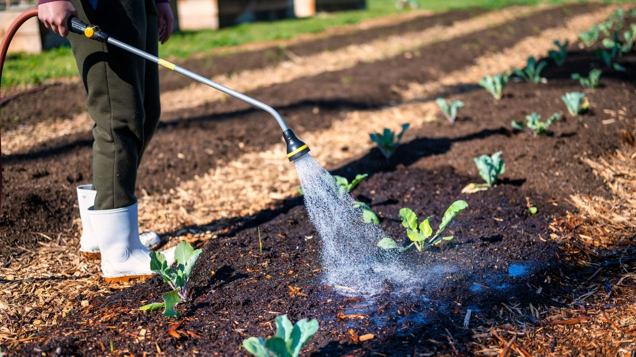 El secreto mejor guardado de la gastronomía española se cosecha en un pequeño rincón del norte