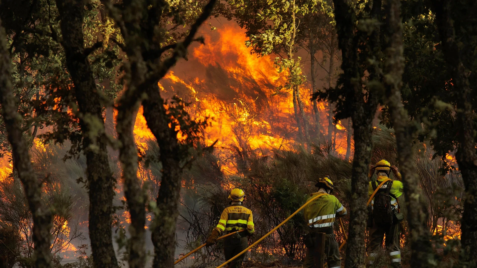 La clave para evitar incendios este verano: “El 80% del territorio español tuvo riesgo extremo en 2025”