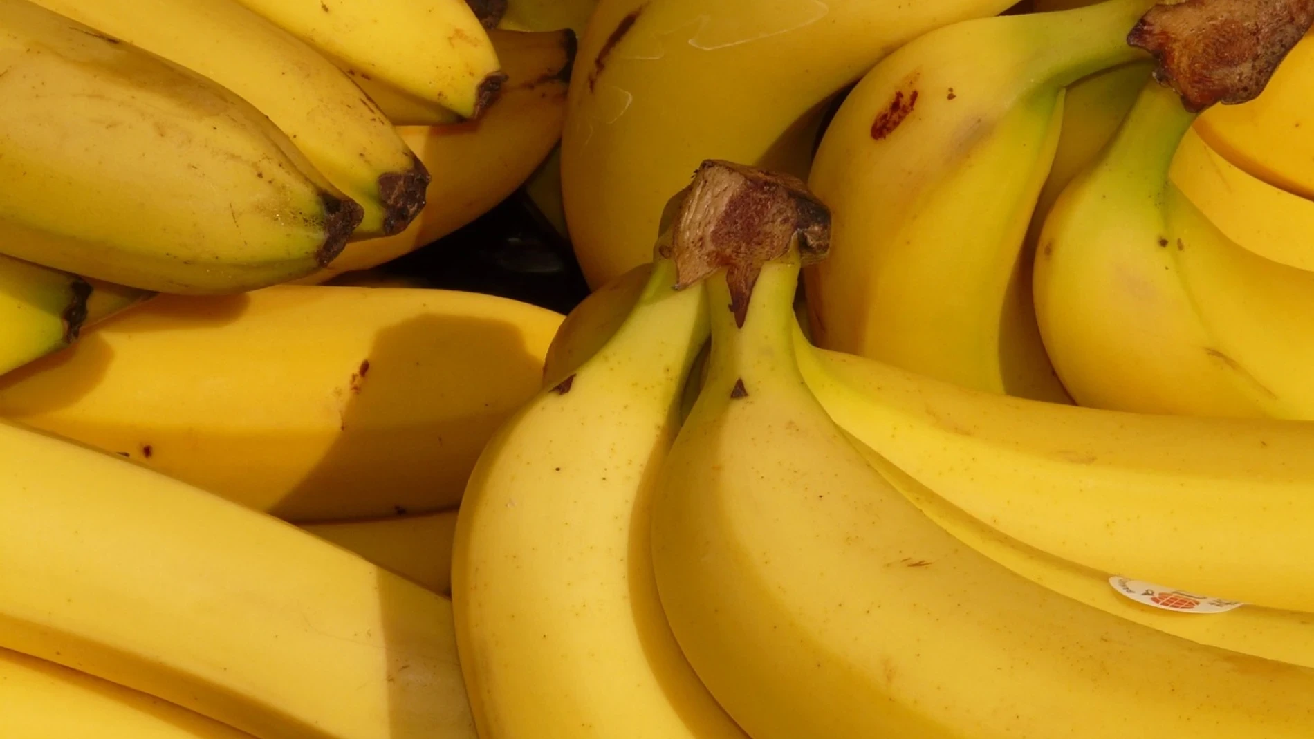 Roban la banana de 6,2 millones de dólares de una de las obras más polémicas del arte contemporáneo