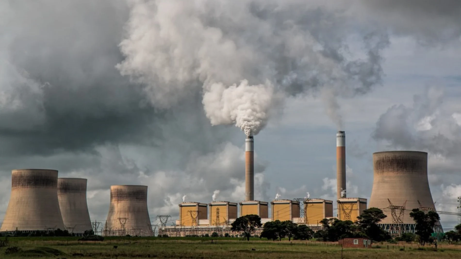 Europeos tontos con mala conciencia