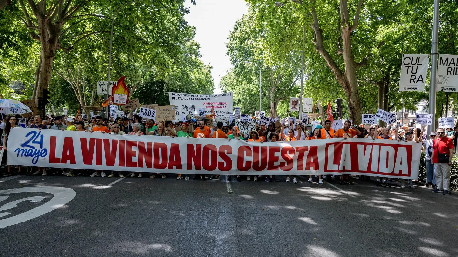 El TC valida el mínimo de pisos sociales de la Ley de Vivienda 