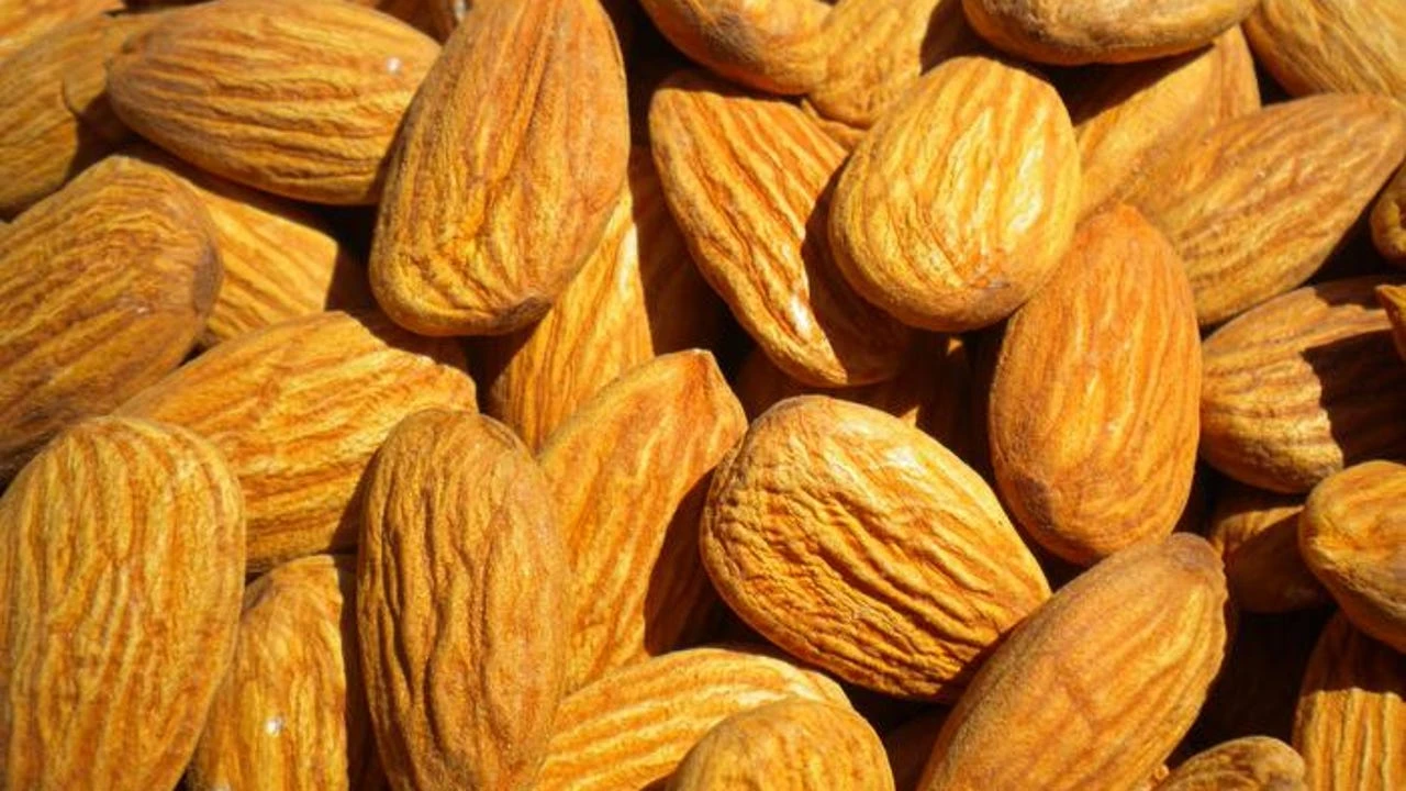 Confirman cuántas almendras hay que comer al día para reducir el envejecimiento