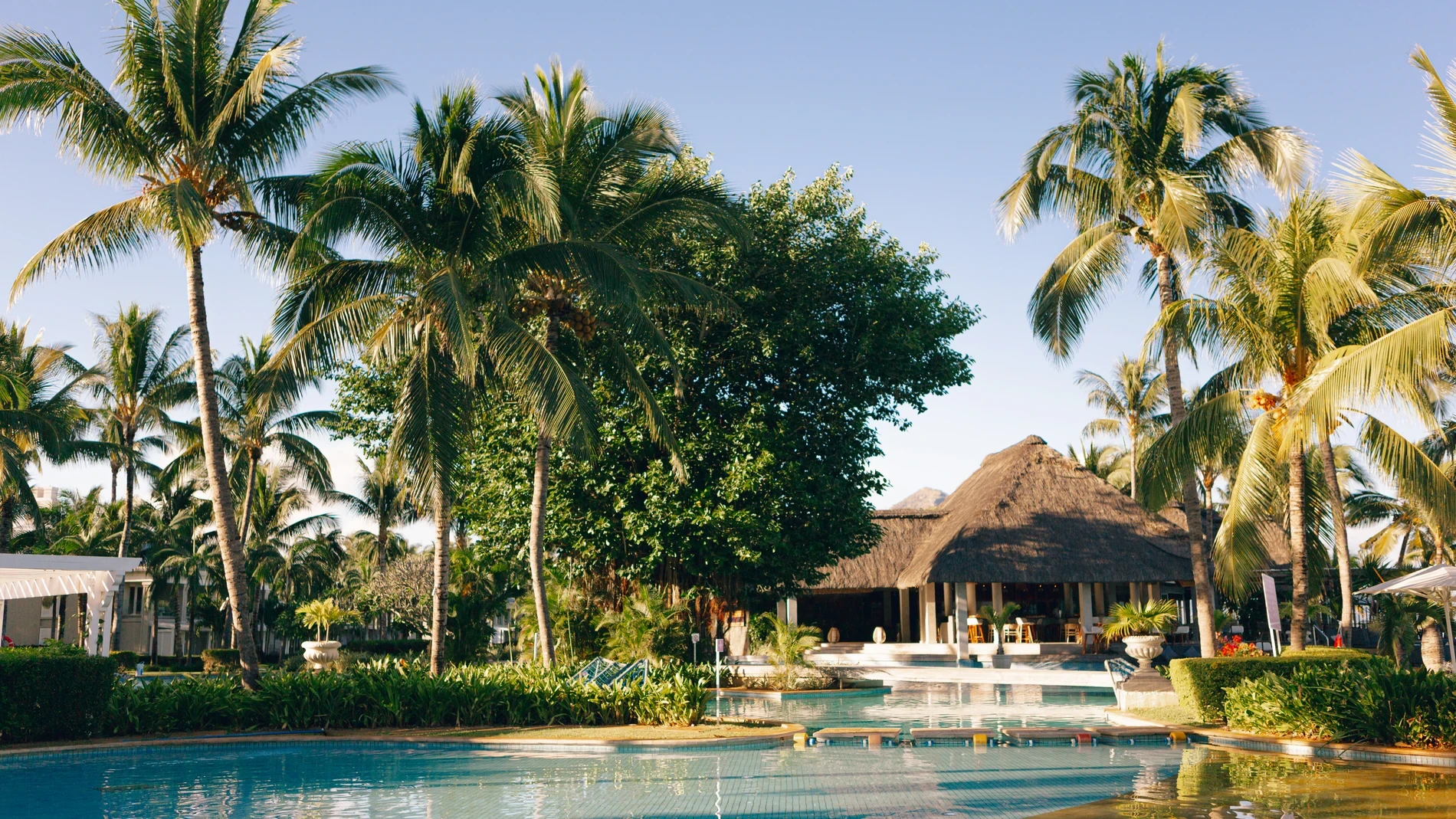 Sugar Beach, cuando la apuesta es potenciar el talento humano y local