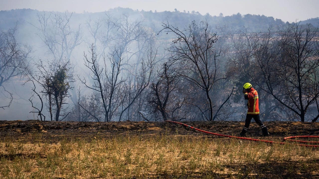 Unas 2.000 personas hacen una rave en Francia en un bosque asolado por un terrible incendio: 