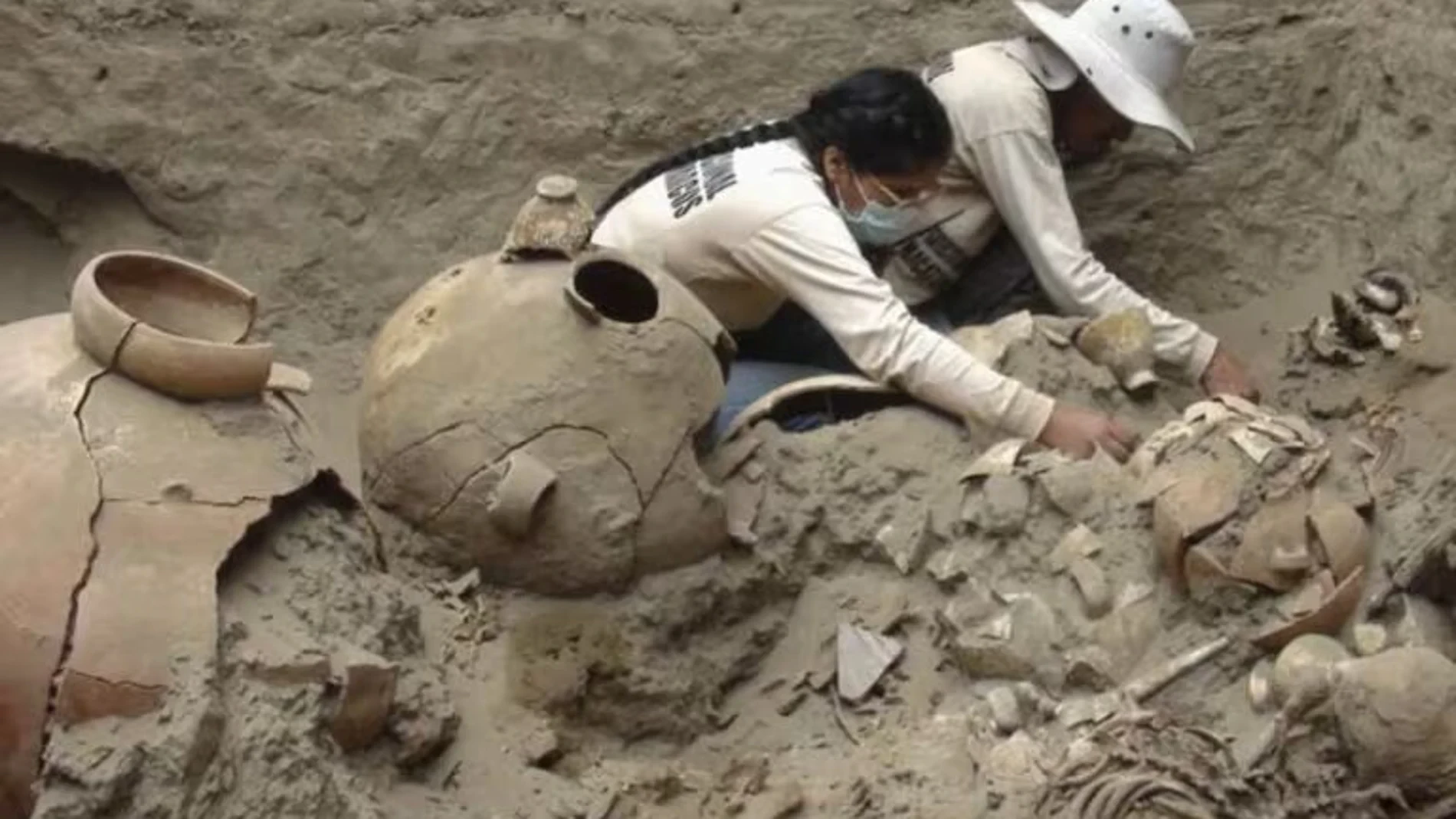 Descubren en China fósiles de más de 500 millones de años con cientos de ejemplares de animales prehistóricos