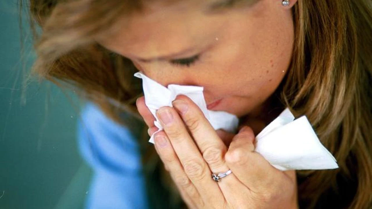 La ciencia lo confirma: descubren el 'interruptor' eléctrico que convierte tus defensas en una potente arma regenerativa