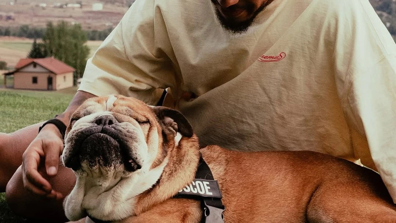 Muere Roscoe, el perro de Hamilton: 