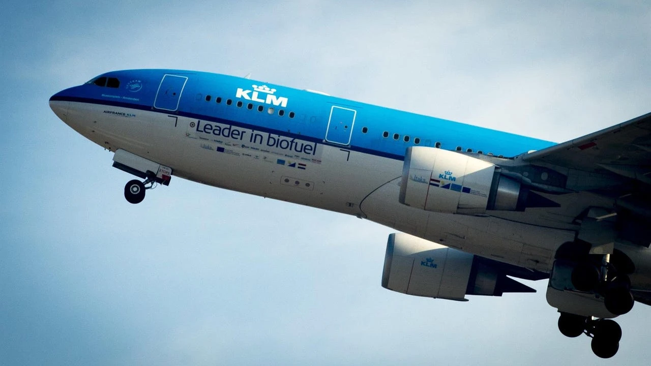 Una pareja abandona un avión tras reclamar que no se sirviesen estos alimentos a los que eran alérgicos: 