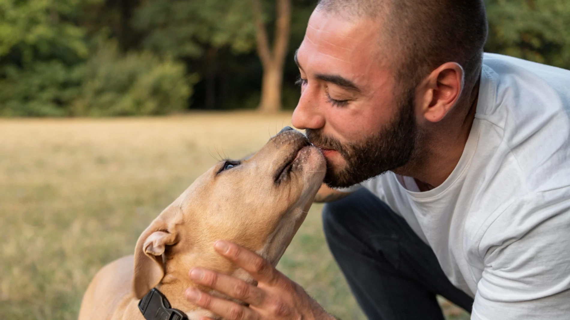 Los perros detectan las crisis epilépticas antes de que ocurran