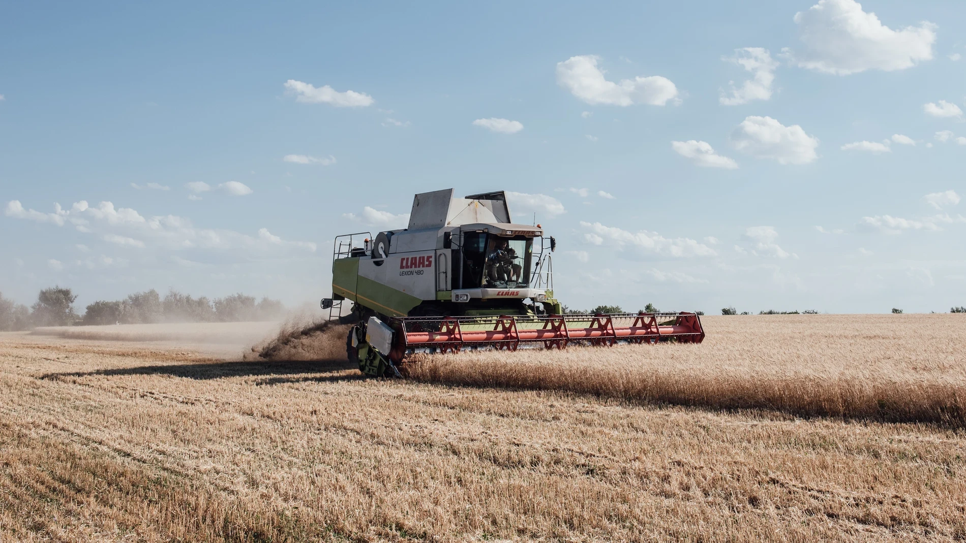 Ucrania presiona para cerrar el mercado al grano robado por Rusia