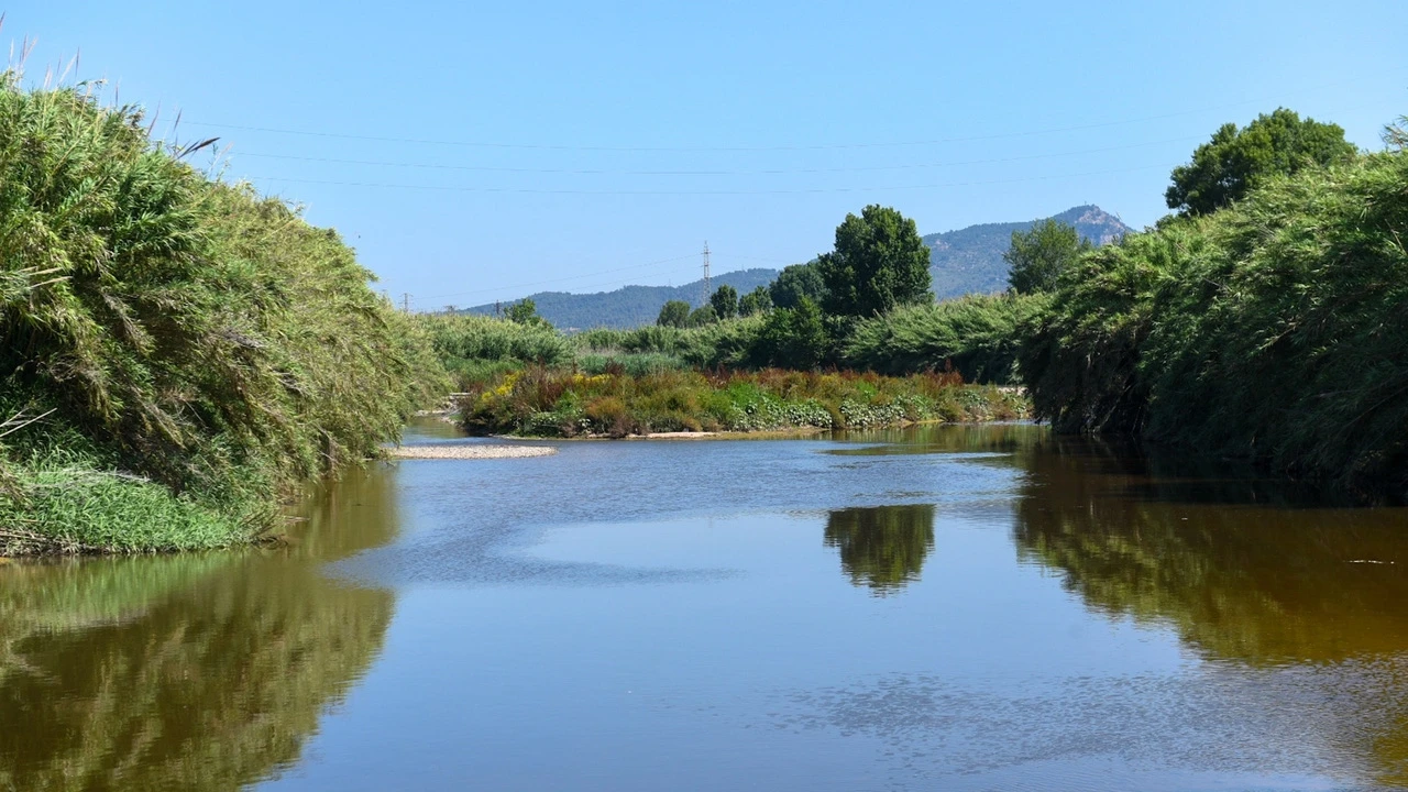 El cauce del río Llobregat sobrepasa su umbral de peligro