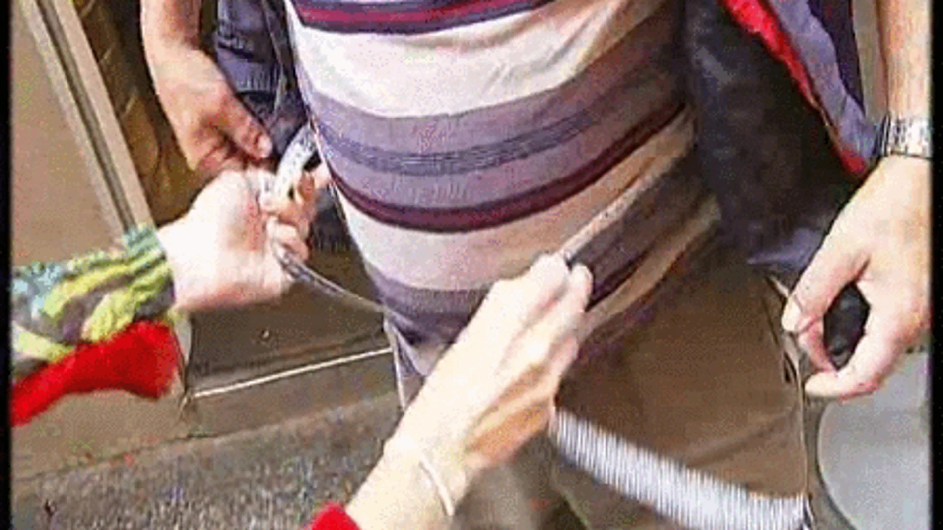 Lo que tu barriga intenta decirte