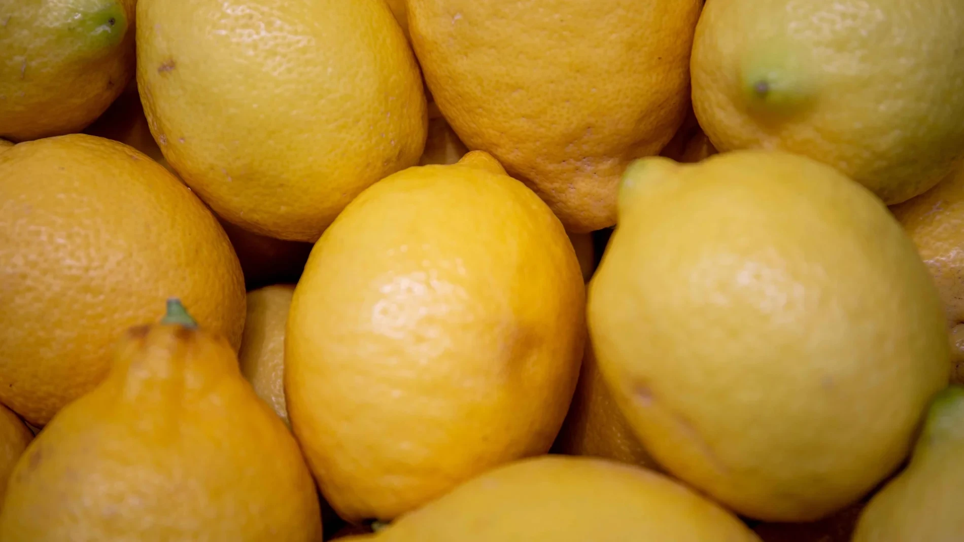 Rusia es el principal comprador de limones marroquíes