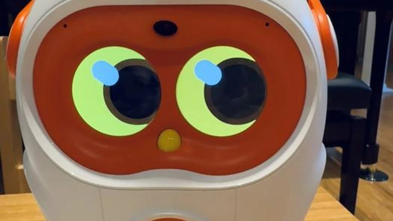 Él nunca lo haría: un estudio indaga en el impacto emocional cuando se abandona un robot