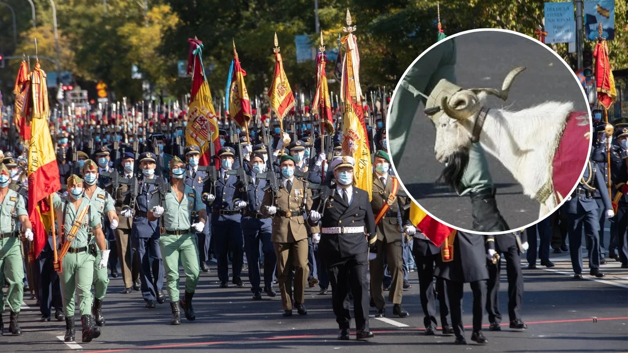 ¿Por qué desfila una cabra el 12 de octubre?: Este es el origen que los españoles no conocen