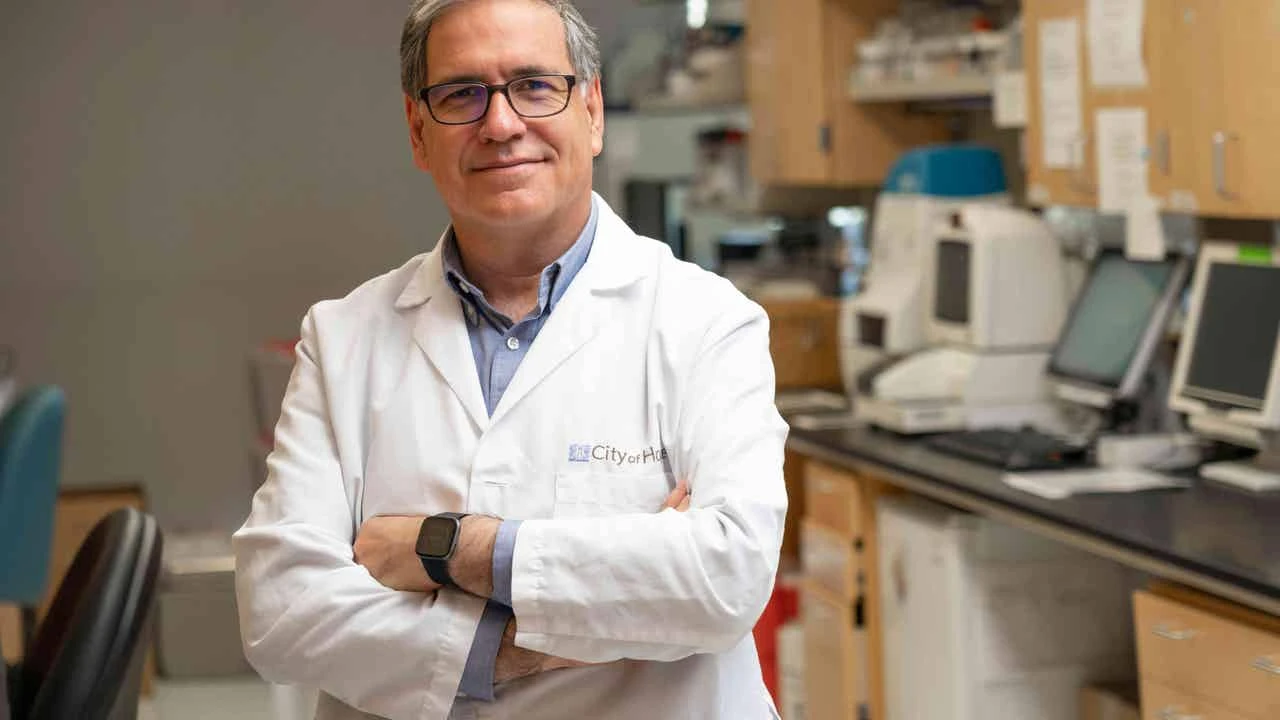 Descubren genes que hacen que las células pasen de producir insulina a elevar el azúcar en sangre