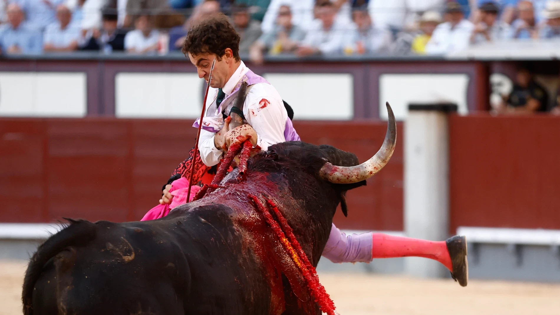 Un nuevo (doble) milagro de San Isidro para contarle al Papa León XIV