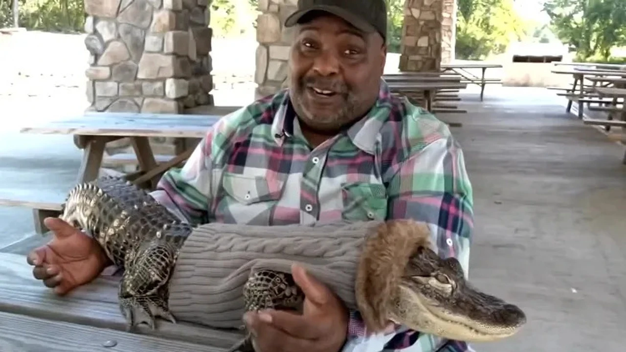 Un estadounidense denuncia que una cadena de supermercados le prohibió acceder a una tienda con su mascota: un caimán