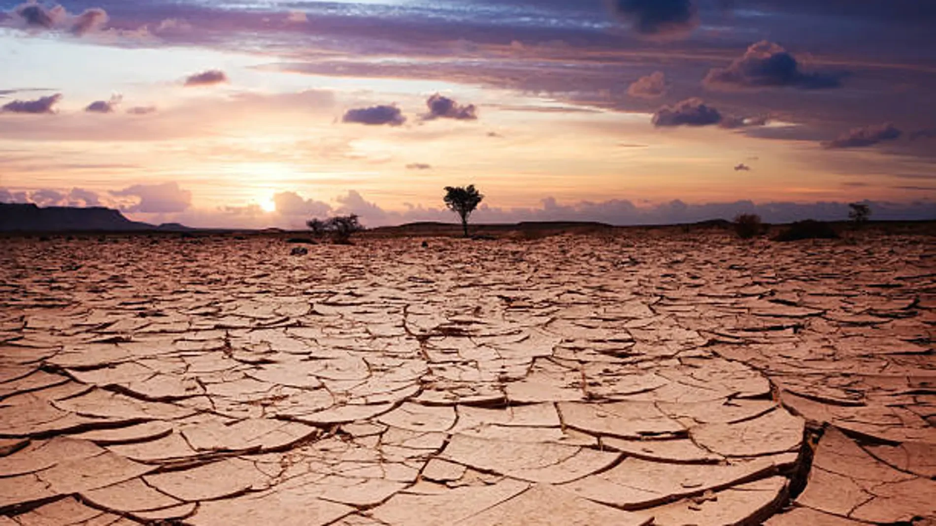 Descubren las causas de la mayor extinción de la historia