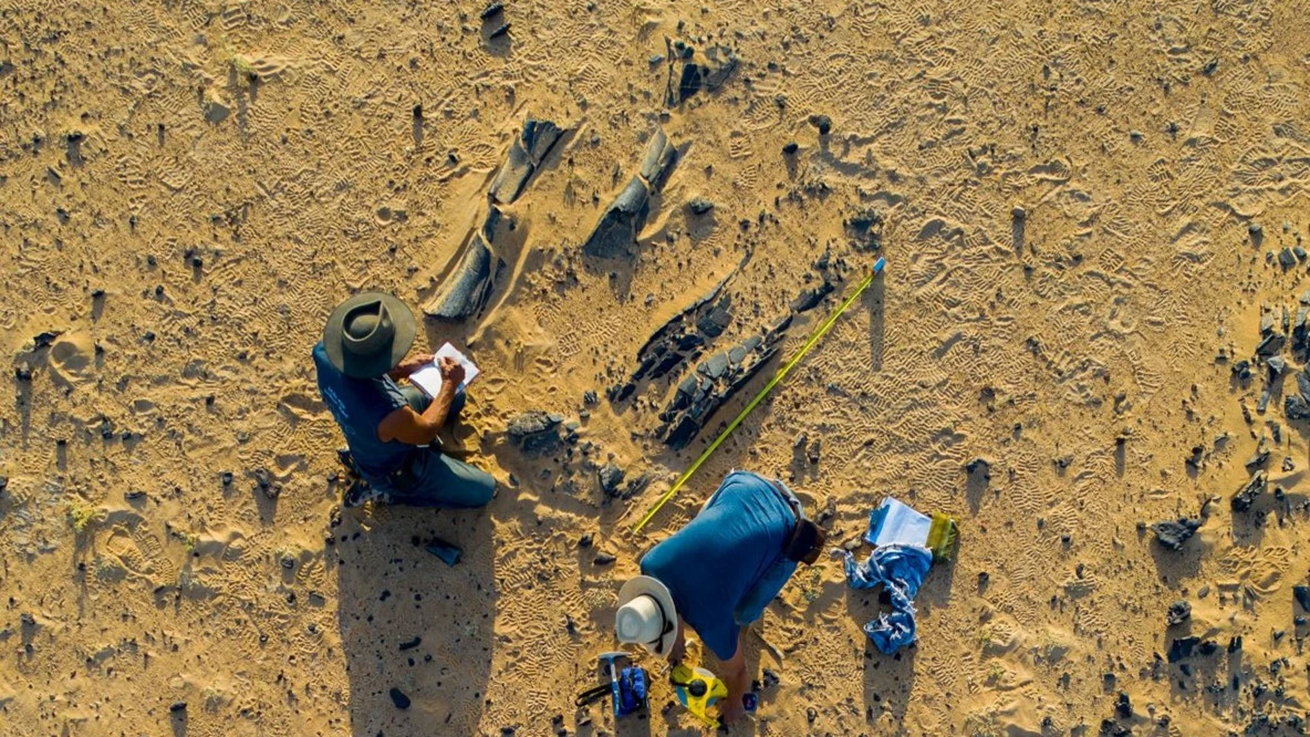 Arqueólogos descubren un antiguo campamento militar romano excavando un jardín: tiene más de 2.200 años