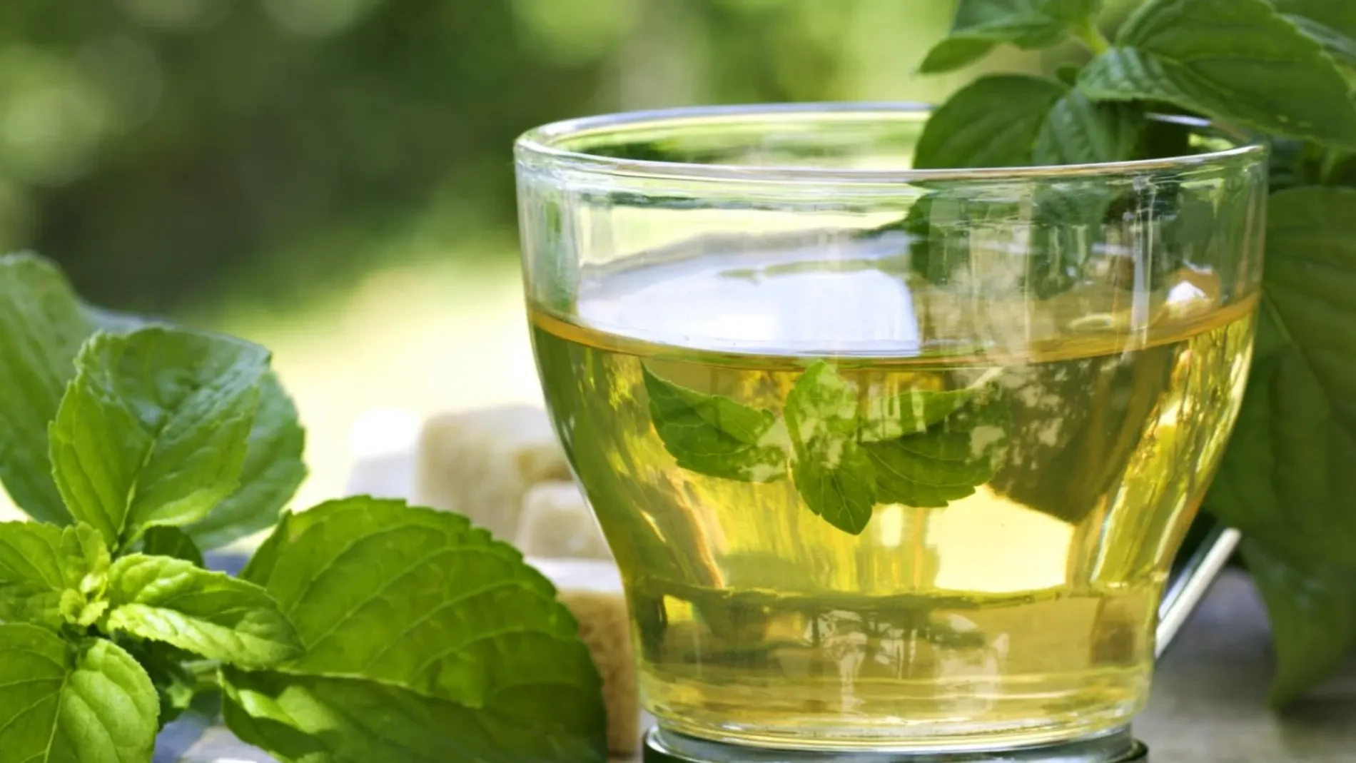 Los dietistas dicen que este es el mejor té para las enfermedades cardíacas
