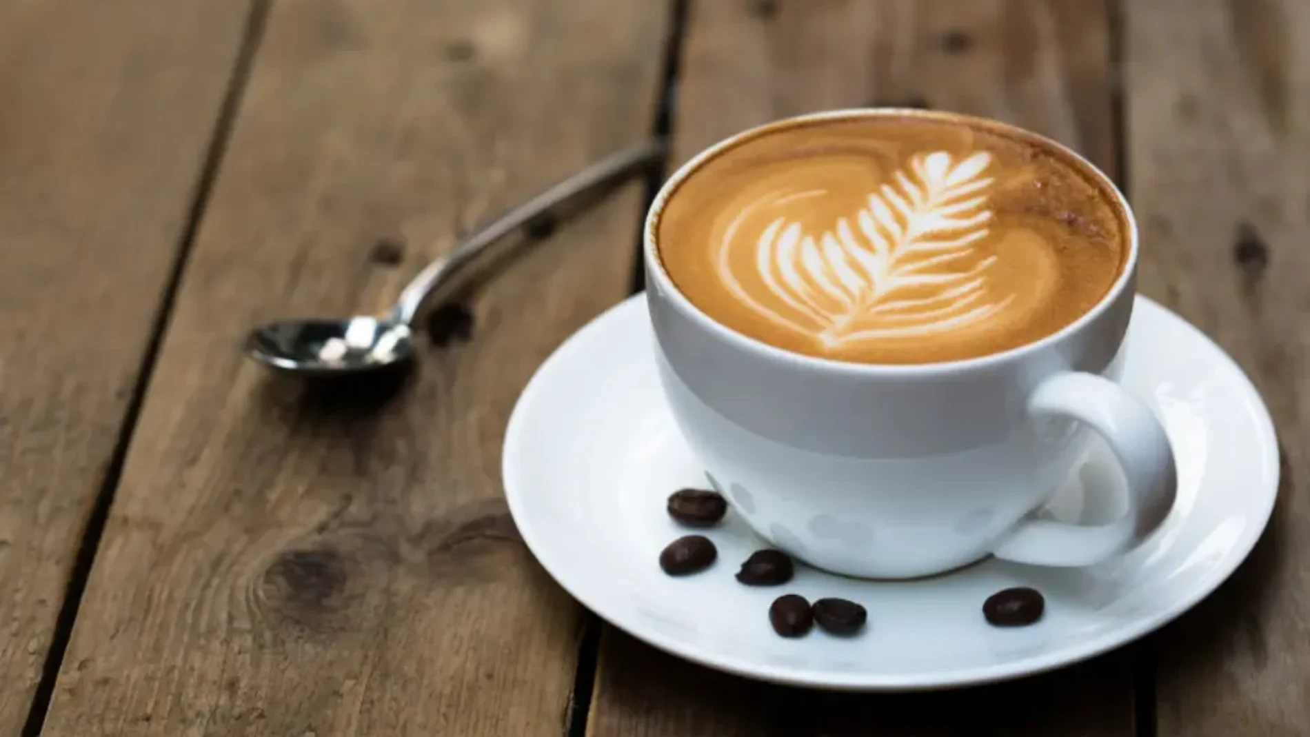 Descubren qué café hay que tomar y cuánto para mejorar la salud mental e intestinal