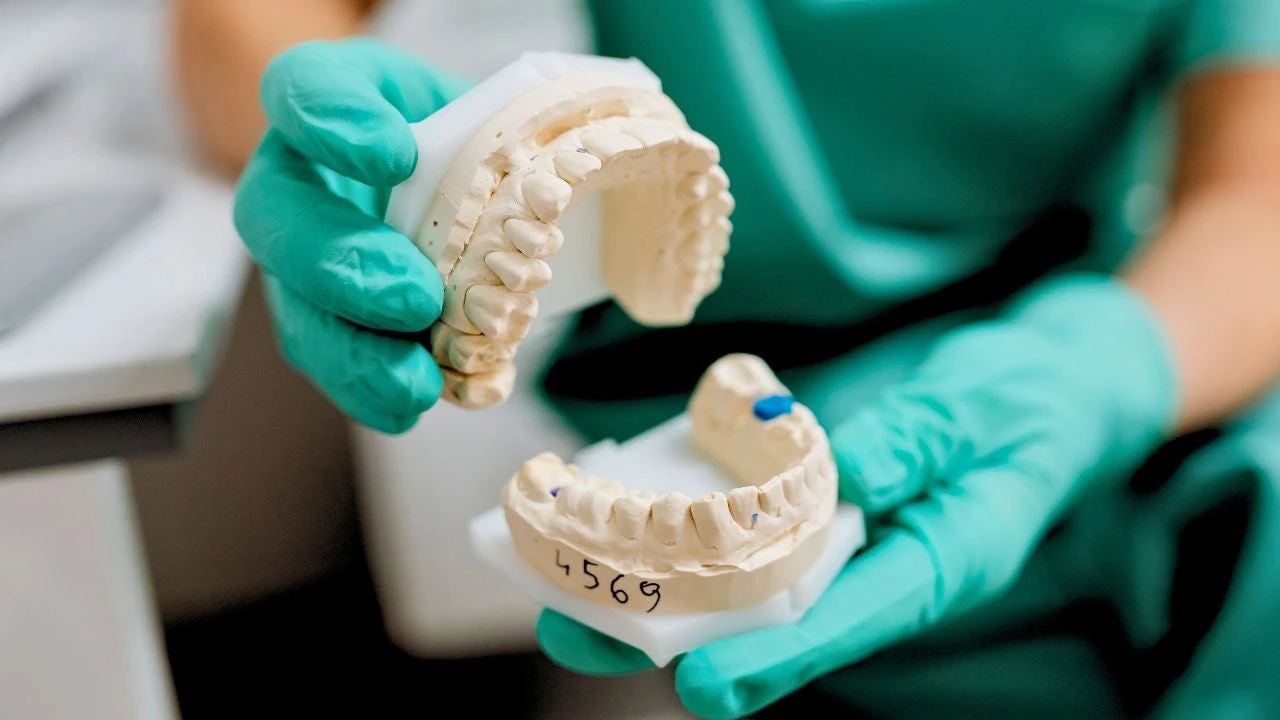 Científicos de todo el mundo compiten por ser los primeros en hacer crecer los dientes humanos perdidos