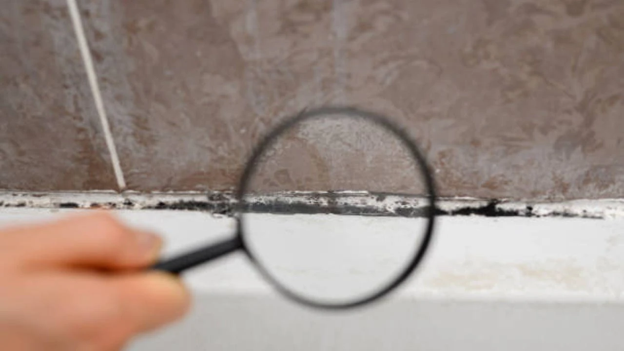 Elimina las manchas negras del sellador del baño sin frotar