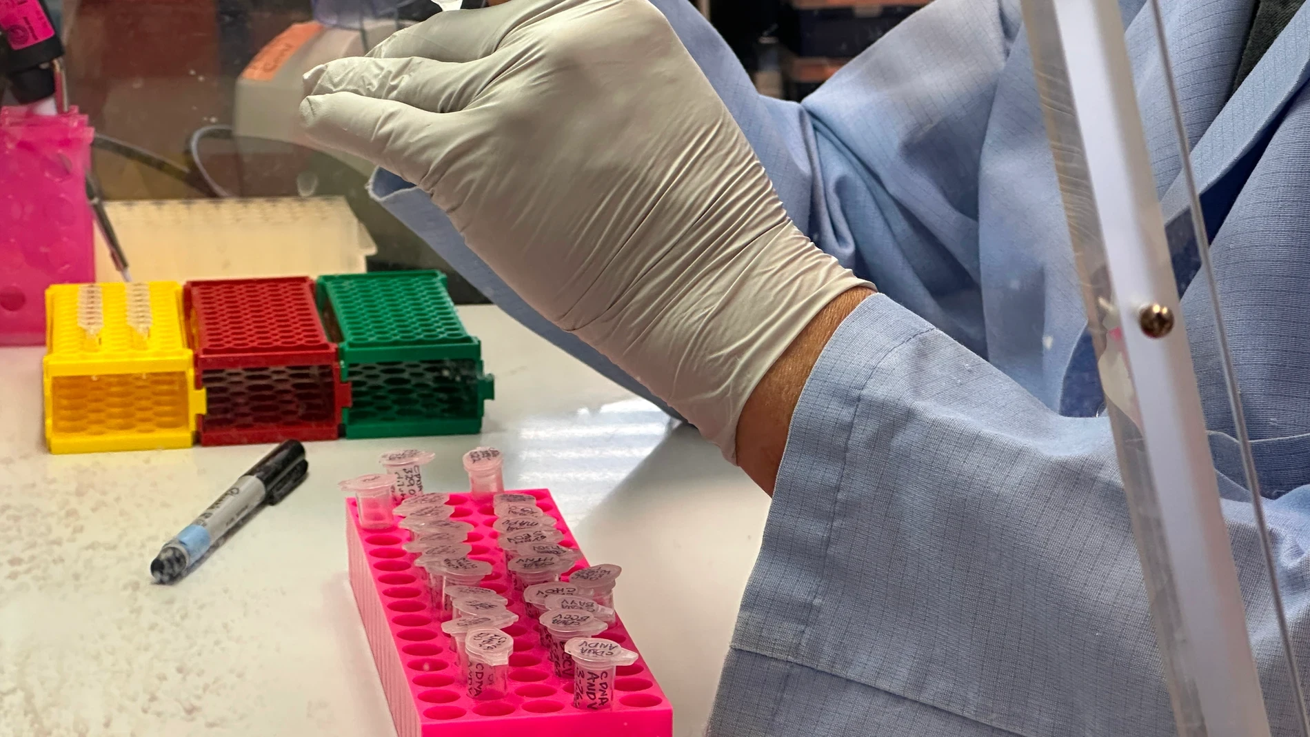 ¿Existe vacuna para el hantavirus?